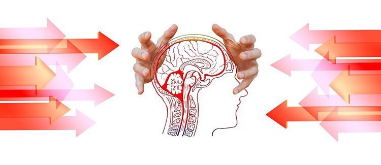 ٢٠ خبر مهم علوم اعصابي سال ٢٠١٧ از ديدگاه سایت neurosciencenews